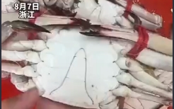 ʳôз